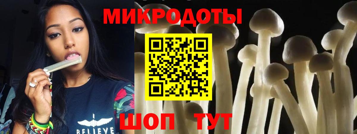 Псилоцибиновые грибы Cubensis  Вход с VPN  Петрозаводск 