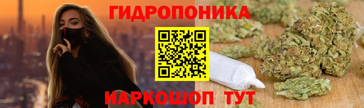 Каннабис Bruce Banner  Вход с VPN  Бошки марихуана LSD WEED  Каннабис Bruce Banner  Петрозаводск 